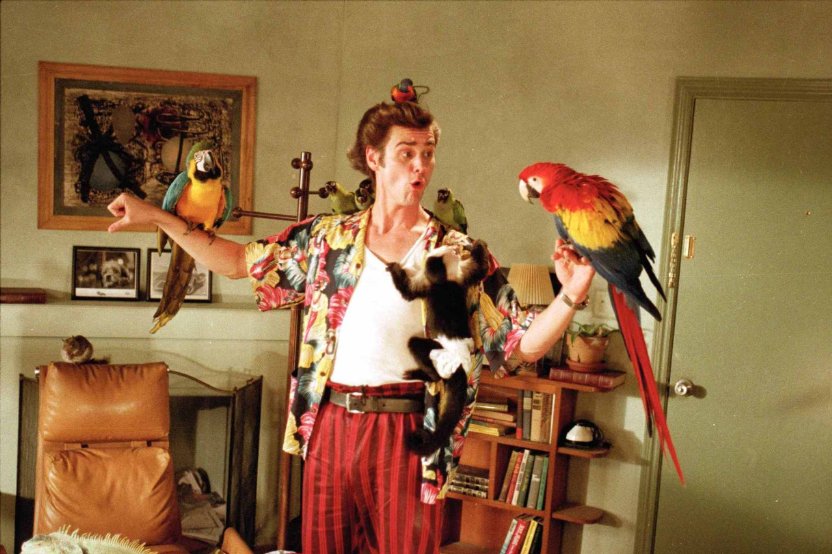 Ace Ventura Pet Detective 1994 Nflhispano Com