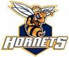 logo_hornets