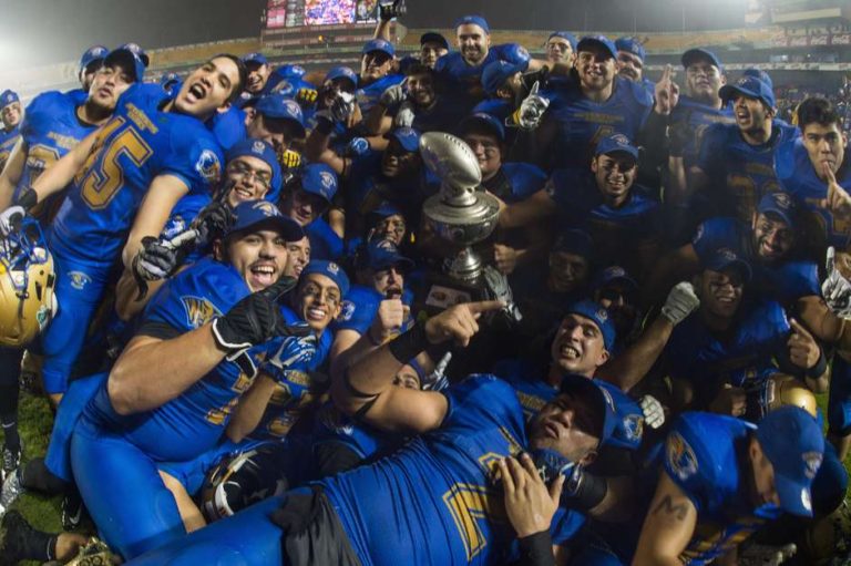 Auténticos Tigres nuevos reyes de ONEFA