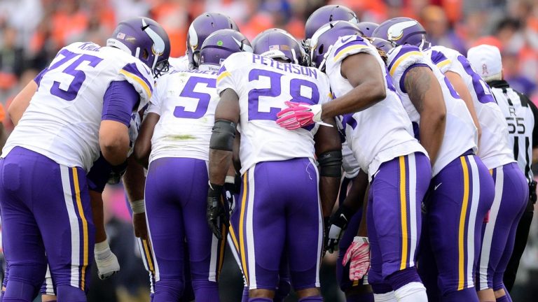 Minnesota Vikings 2016