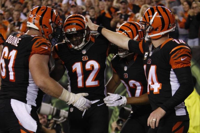 Cincinnati Bengals 2016