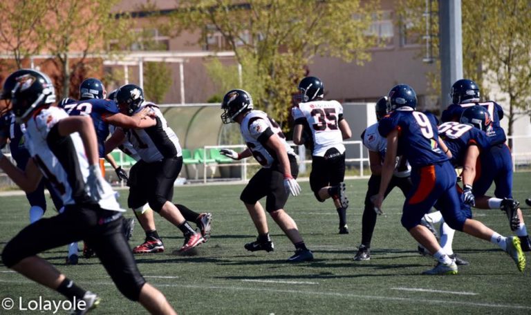 Knights, Coyotes, Black Demons y Cobras buscan la final junior