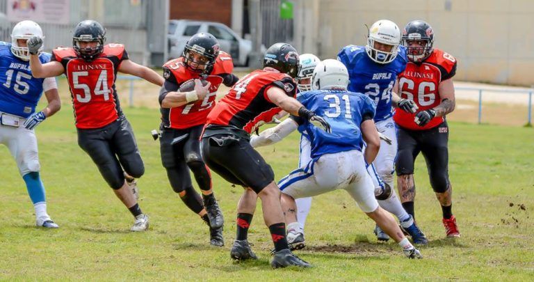 Black Demons, Osos, Pioners y Voltors se jugarán el ascenso