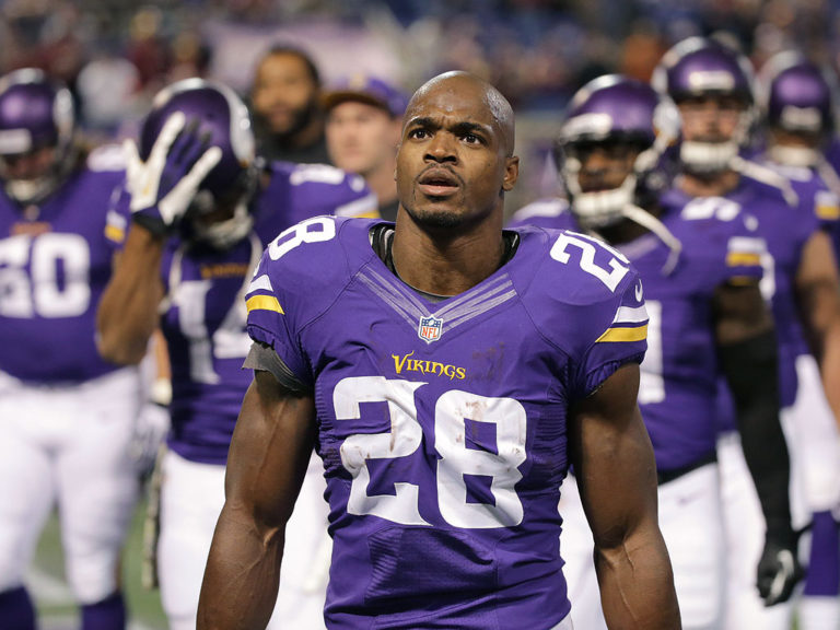 Minnesota Vikings 2015