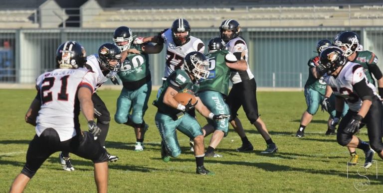 Osos, Pioners, Voltors y Black Demons se estrenan con buen pie en la Serie B